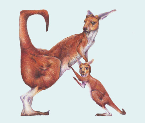 Girard_animal_alphabet_K