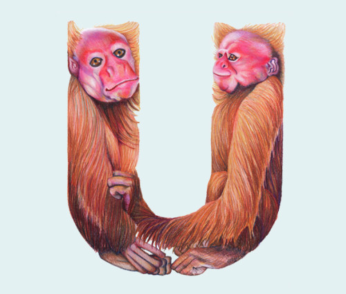 Girard_animal_alphabet_U