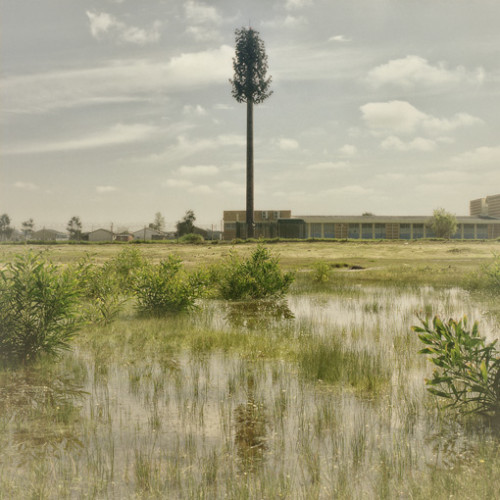 Invasive Species, Eersterivier (2009)