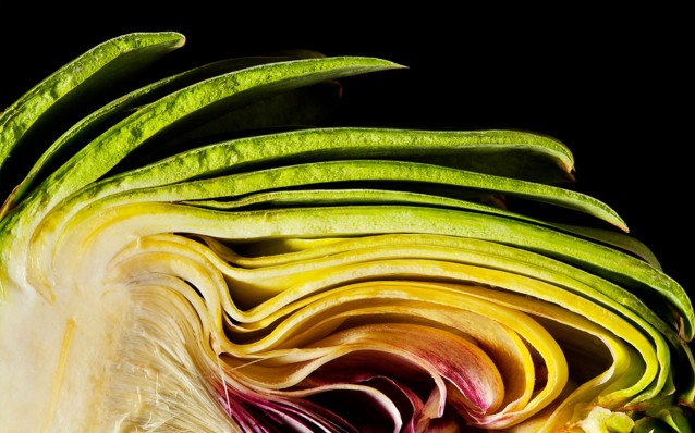 photography_of_modernist_cuisine_artichoke