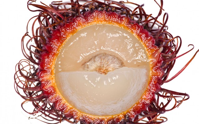 photography_of_modernist_cuisine_rambutan