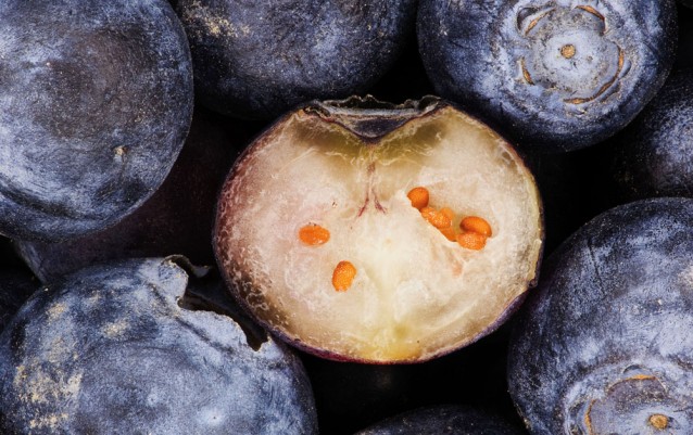 photography_of_modernist_cuisineblueberries_cut_open